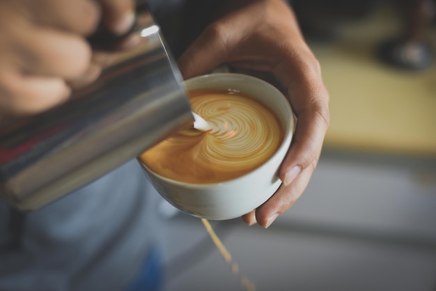 Coffee cultivation methodology in Cambodia highlands