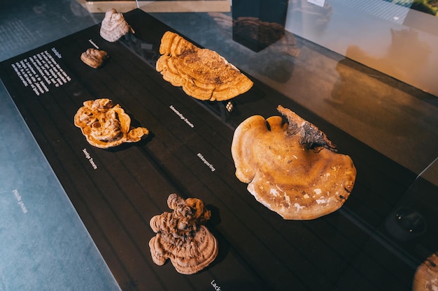 Coffee tourism experience setup